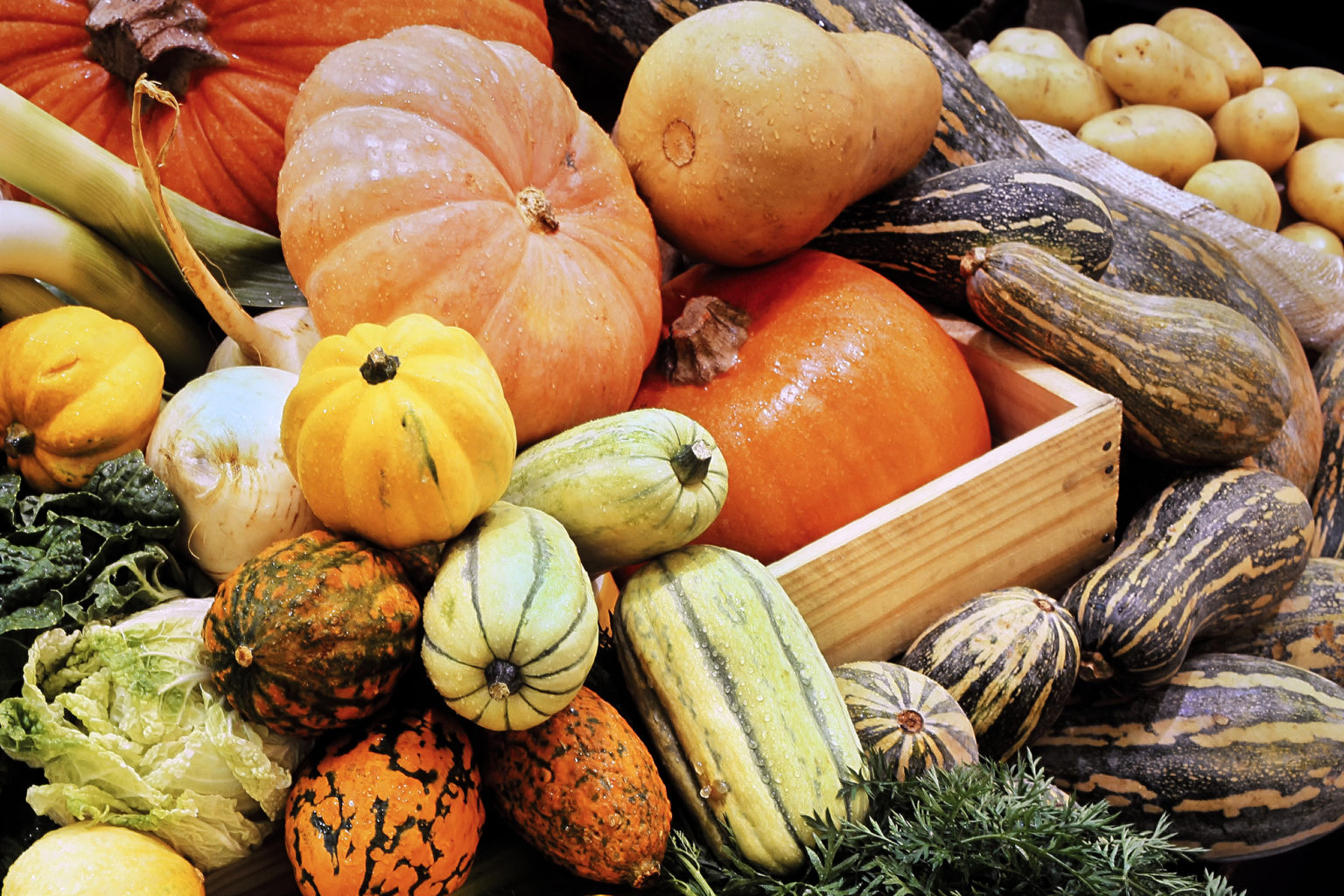 Variété de courges